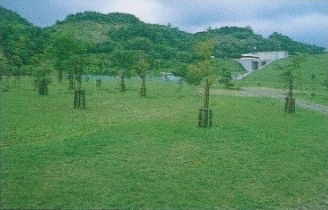 恵庭市・イザリ川ダム修景工事