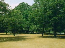 東京都新宿区・戸山公園改修工事