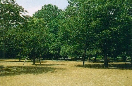 東京都新宿区・戸山公園改修工事