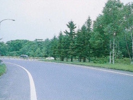 千歳市・道央自動車道千歳インターチェンジ・植栽工事
