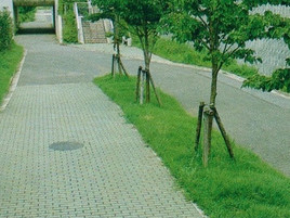 千葉県市原市・遊歩道造園工事