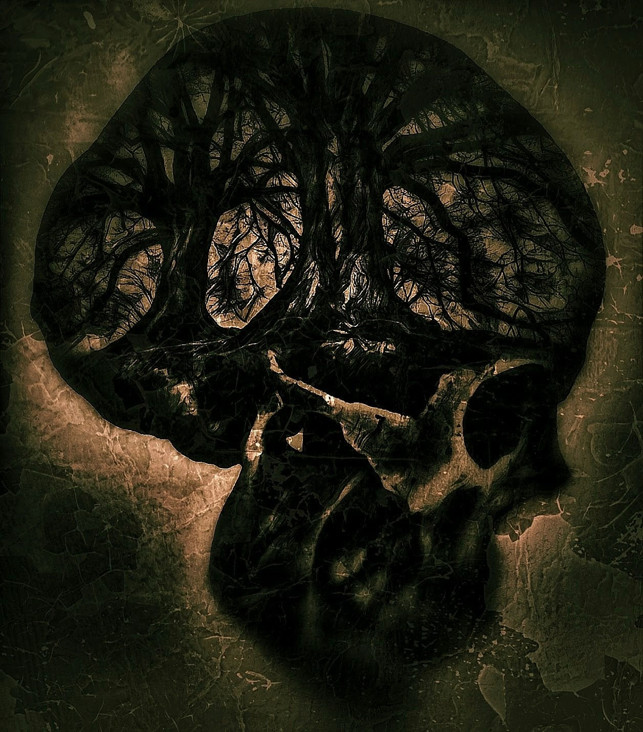 Skull Design (16" x 14")