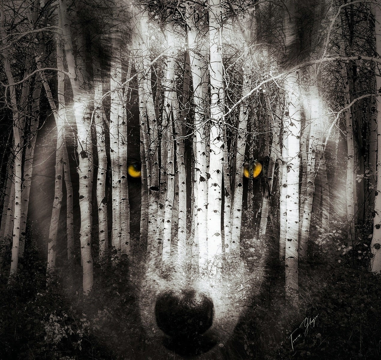 Ghost of the Woods