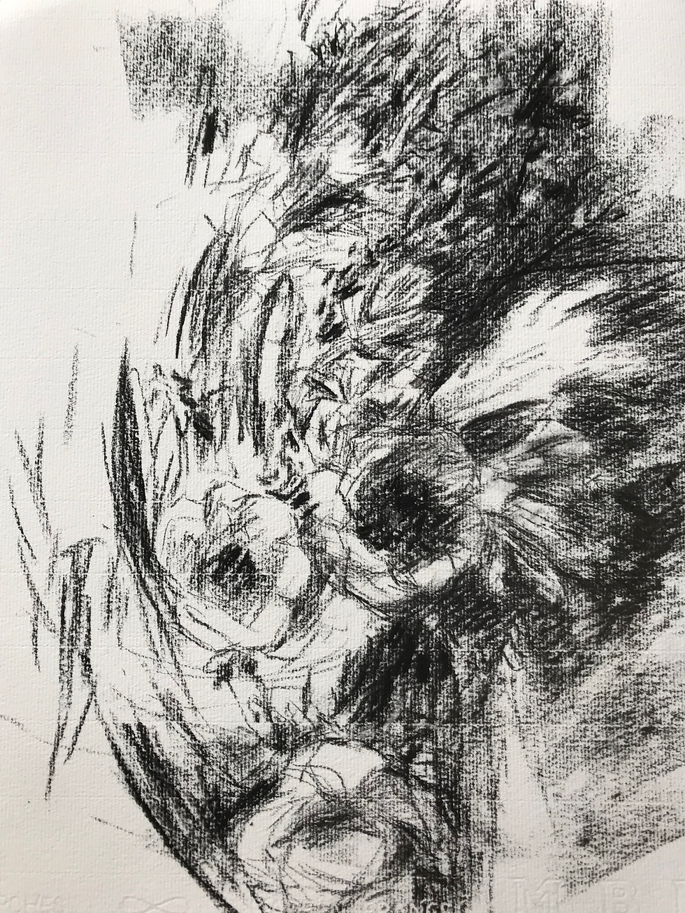 Fleurs de février