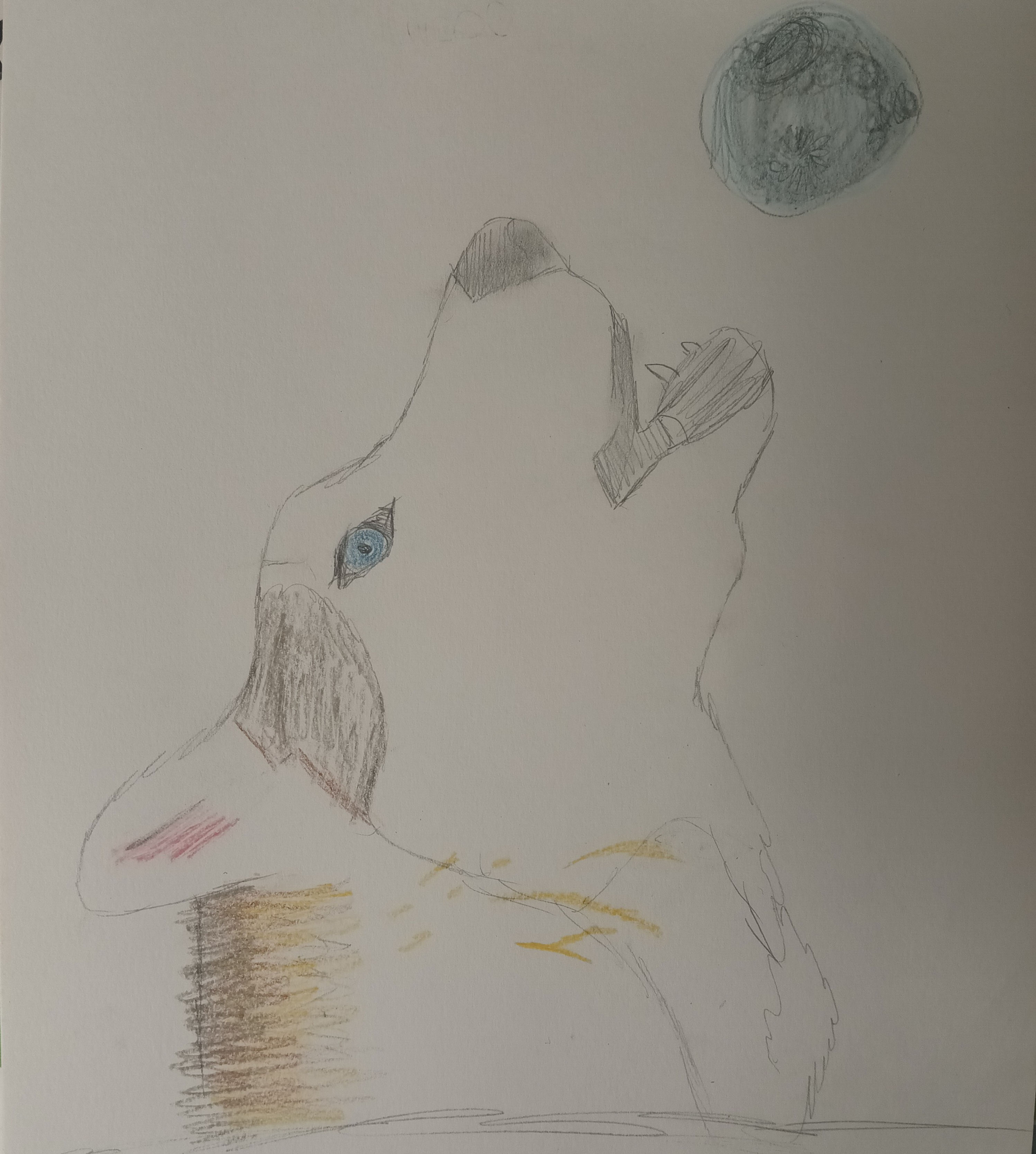 Hand Drawn Print Signed 9"x12" by Artist AMARIAH_subject_Husky_Moon