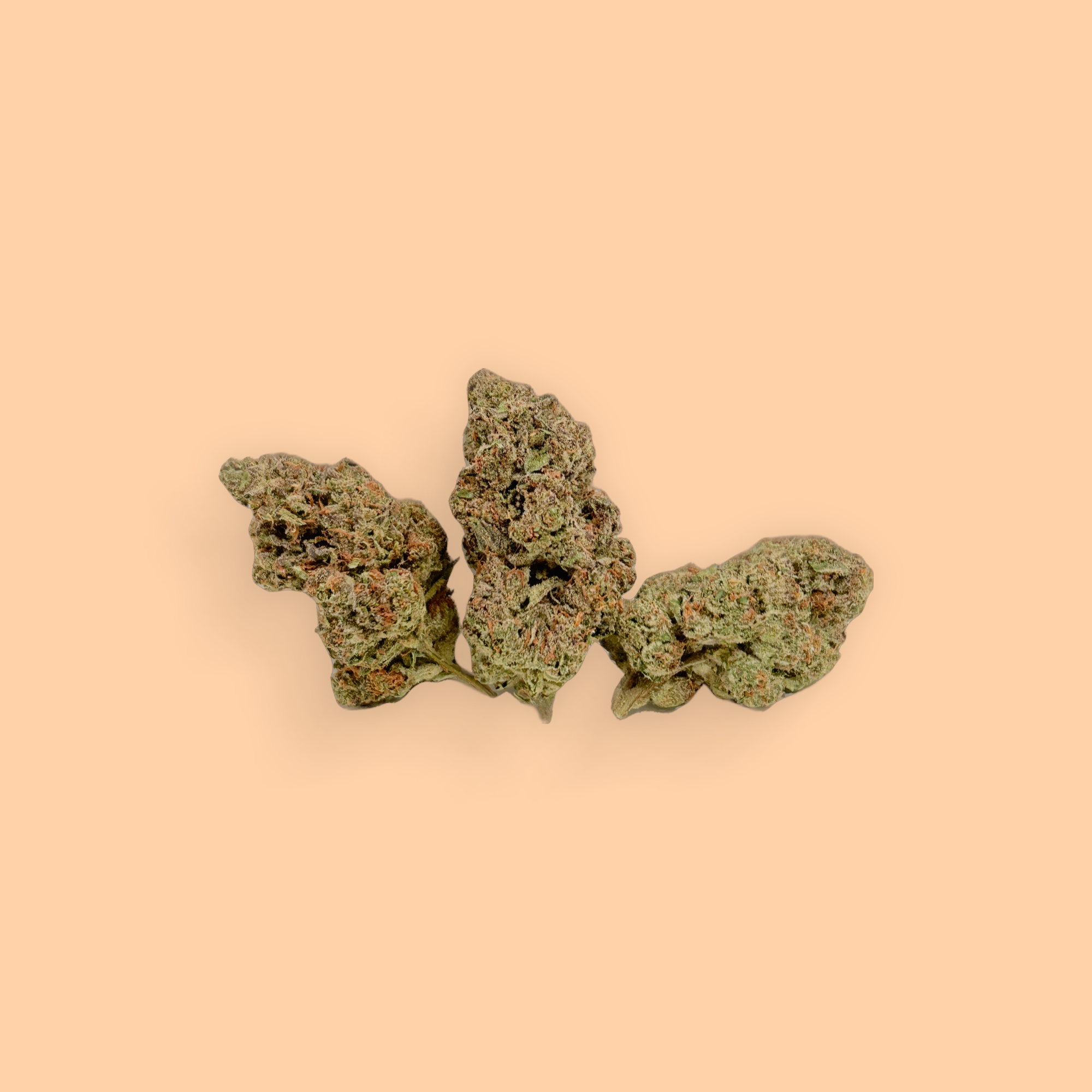 MR™️ Apple Fritter