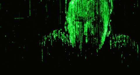 Attachment_1637373192.gif