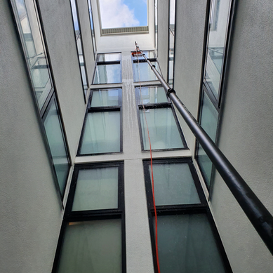 Regen Cleaning 2.PNG