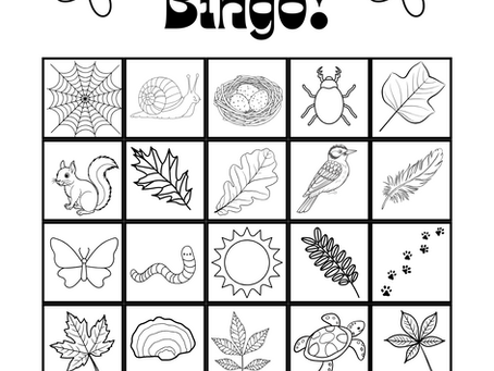 Nature Bingo
