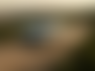 Jeep Avenger 54 kWh Summit: o ADN Jeep numa nova era elétrica