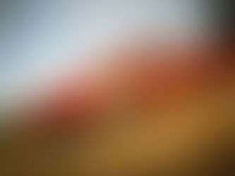 Team Consilcar pensa na vitória