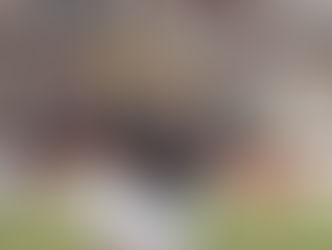 Um super-herói tricolor