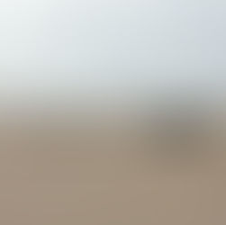 Ghost Nets beach Clean