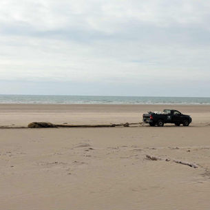 Ghost Nets beach Clean