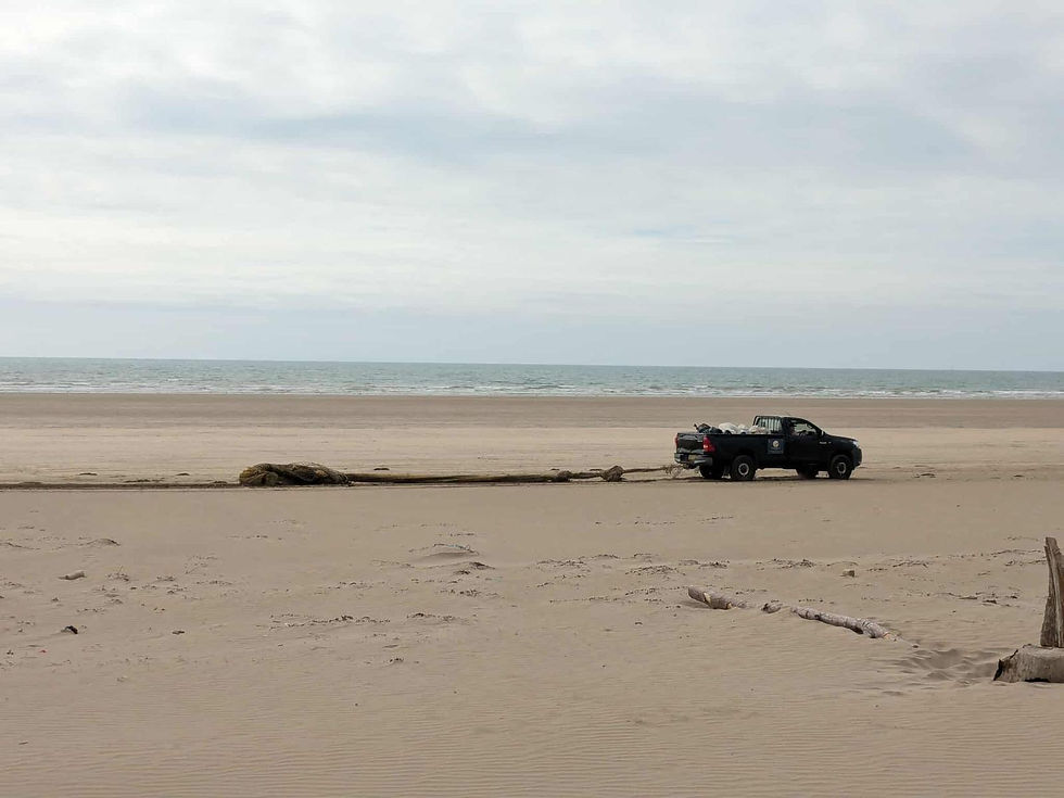 Ghost net being dragged out of the water line