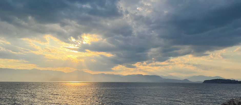 Απώλειας Φόρος Τιμής
