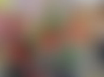 Getting Ready for Christmas