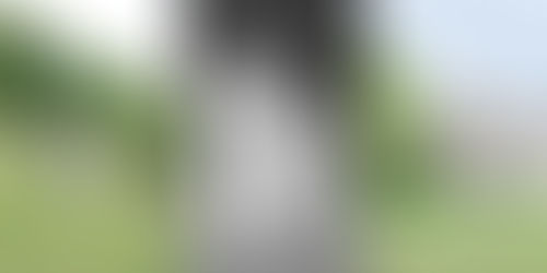 trois images d'un mariage dans le parc verdoyant d'un ancien chateau, avec un couple de marié élégant.