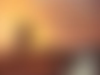 Amnesty by Cambria Hebert