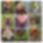 20231013_113346-COLLAGE.jpg