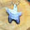 Thumbnail: Quahog Shell Star Fish Necklace