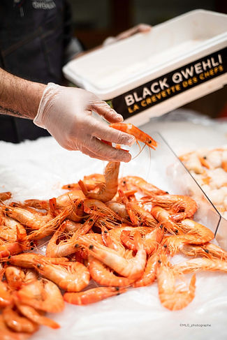Black-qwehli-etal-poissonnerie.jpeg