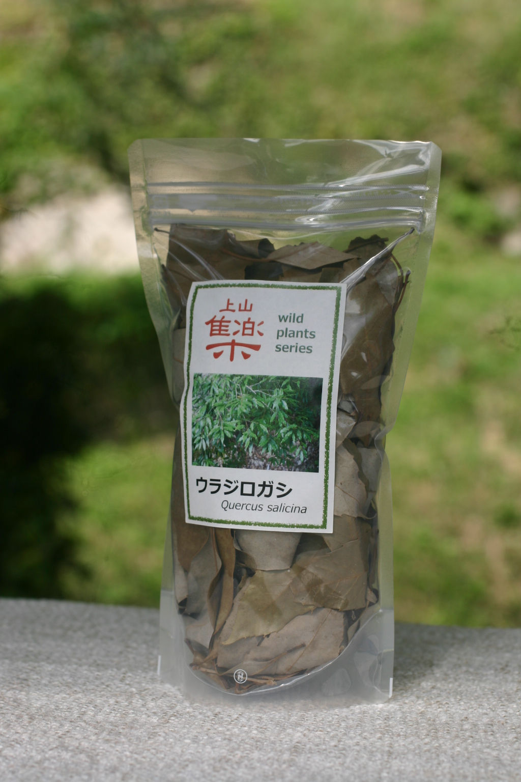 裏白樫（ウラジロガシ）茶　20g