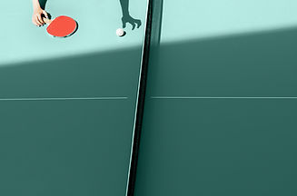 Table de ping pong