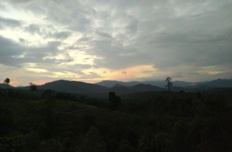 Partnership Takes A Step Further with FRIM