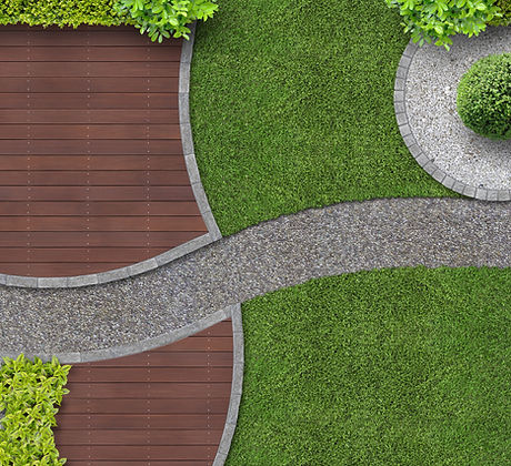 Designed Backyard
