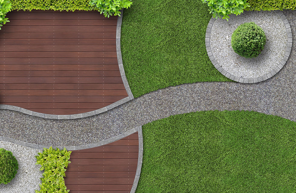 Designed Backyard