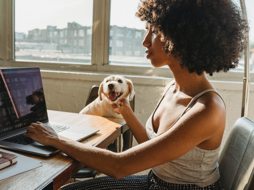 12 (FREE) Online Certification Courses To Uplevel Your Business Skills