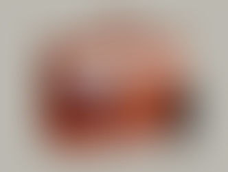 Những người bạo loạn ở Capitol không phải là "Tầng lớp thấp"