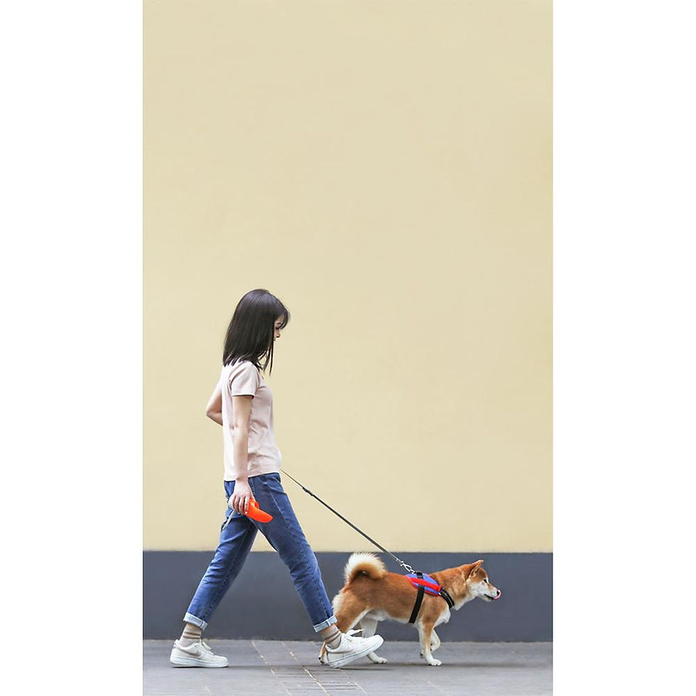 Thumbnail: Instachew Rover Pet Travel Bottle, Dog Water Bottle