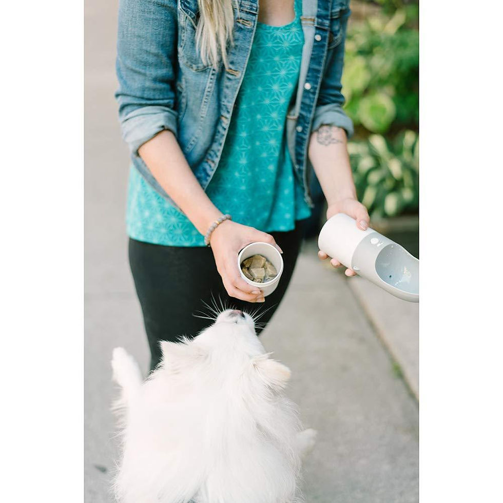 Thumbnail: Instachew Rover Pet Travel Bottle, Dog Water Bottle