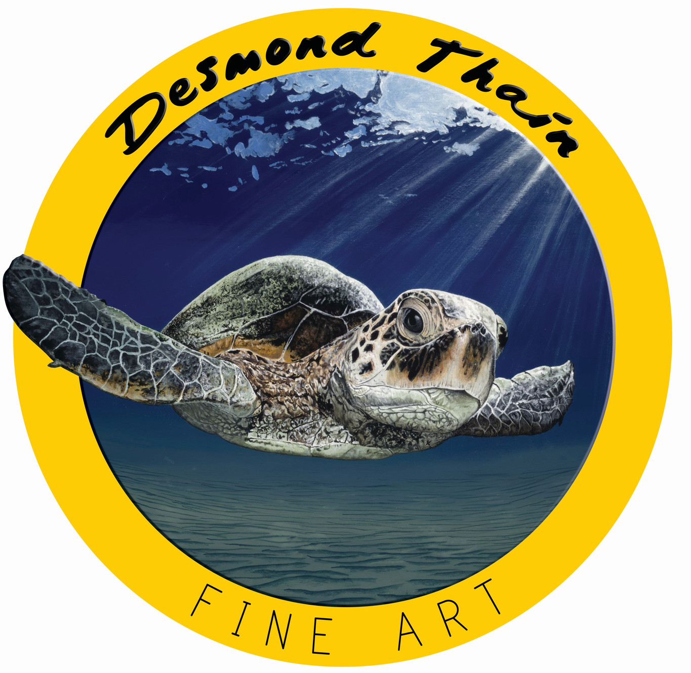 Desmond Thain Fine Art thumbnail