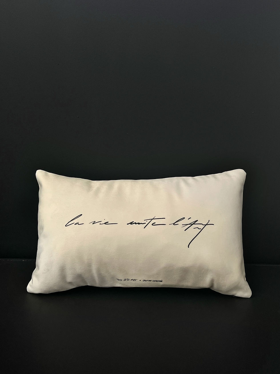 Miniature : Housse de coussin Michel-Ange 30x50cm