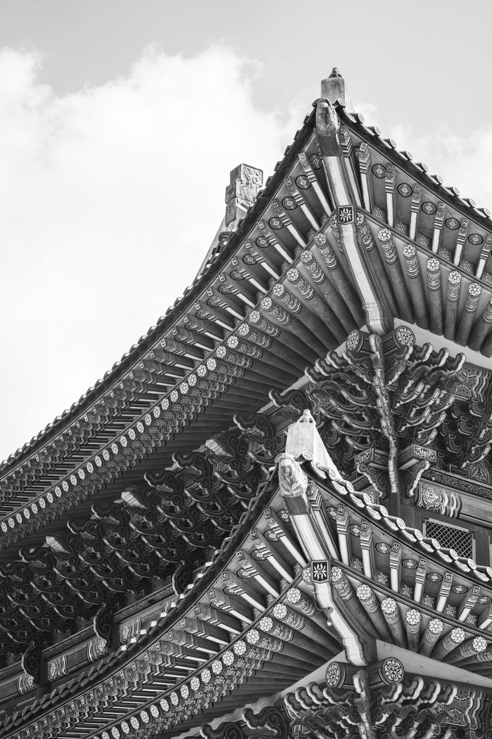 Palace