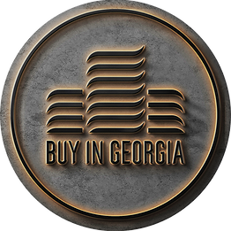Buy In Georgia Logo 3d Light_edited