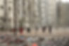 IPEV.web.jpg