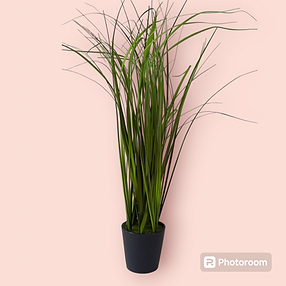 Photoroom-20240720_150215.png