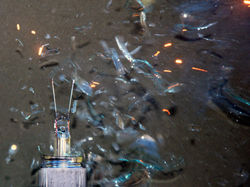 30x40 bombillas 3.jpg