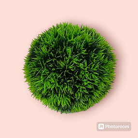 Photoroom-20240720_150103.png