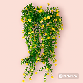 Photoroom-20240720_145823.png