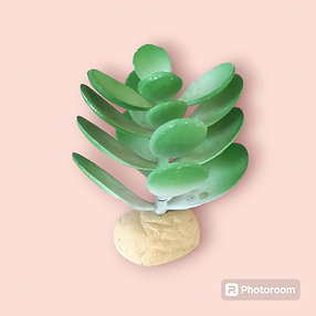 Photoroom-20240720_145723.png