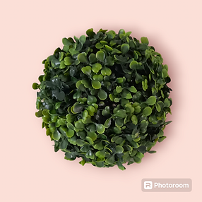 Photoroom-20240720_150004.png