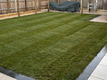 Lawn service: Maintain a Healthy Lawn