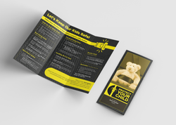 seatbeltbrochure