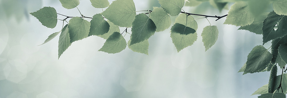 Beauty summer and spring backgrounds_edi