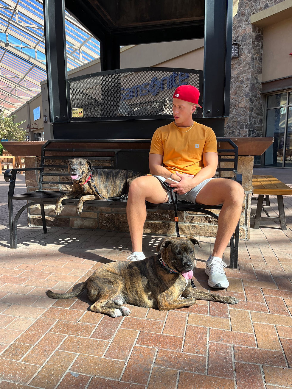 Thumbnail: Add on- Leash Work (20 Minutes)